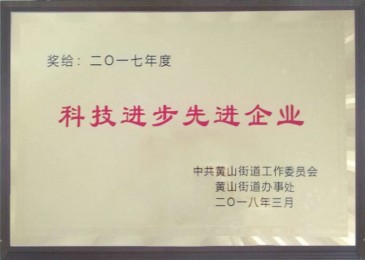 科技進步（bù）先進企業